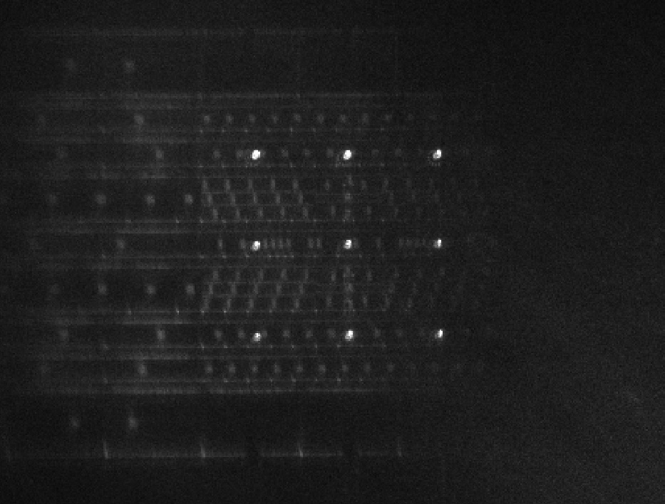 Nine individually trapped ions in a 2D array